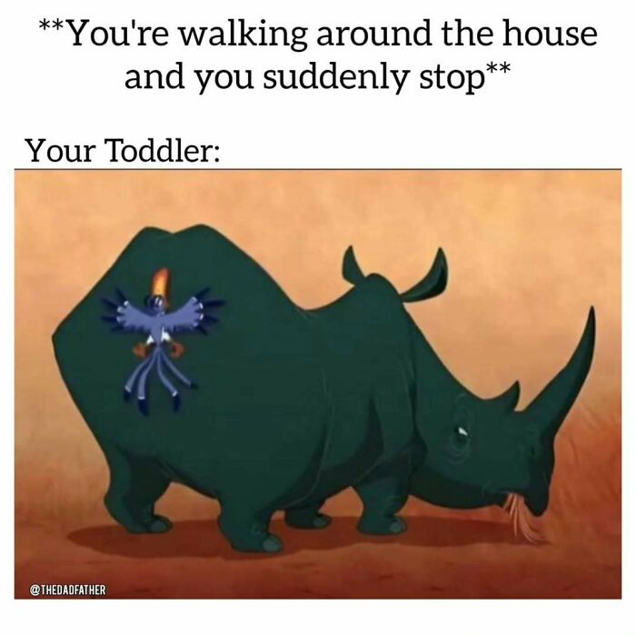 Funny dad meme showing a rhino stopped with a startled bird on its back, captioned about toddlers reacting to sudden stops.