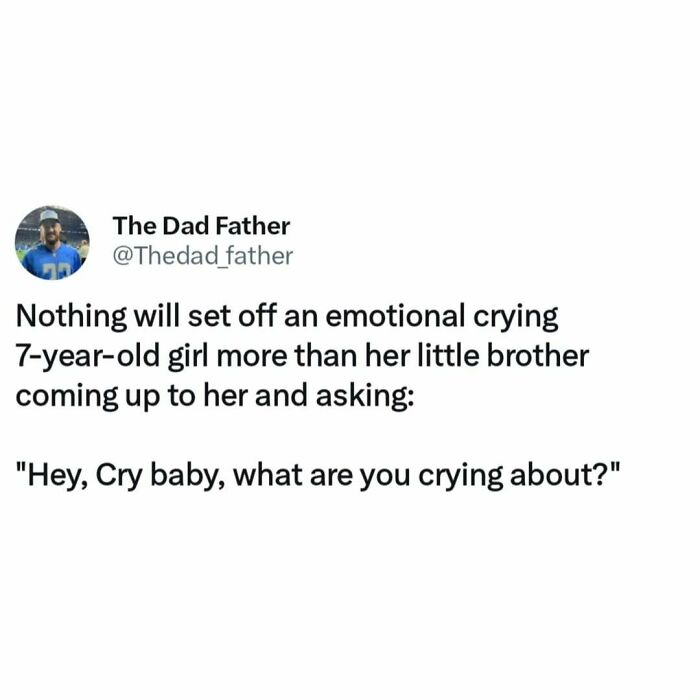 Funny meme about the daily joys and struggles of a dad, featuring a tweet on sibling relationships.