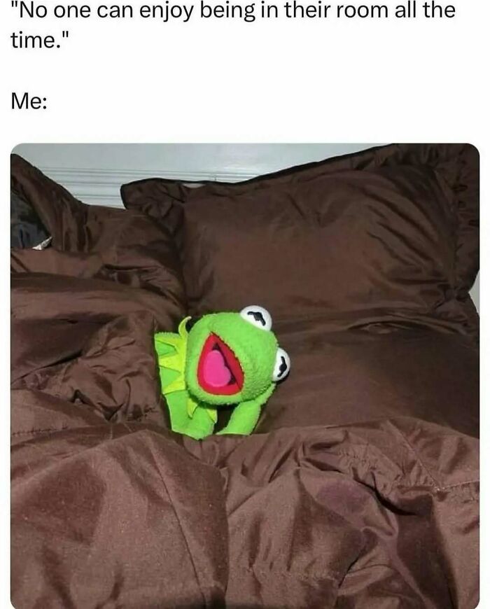 Kermit the Frog plush toy nestled in brown bedding, representing introvert comfort.