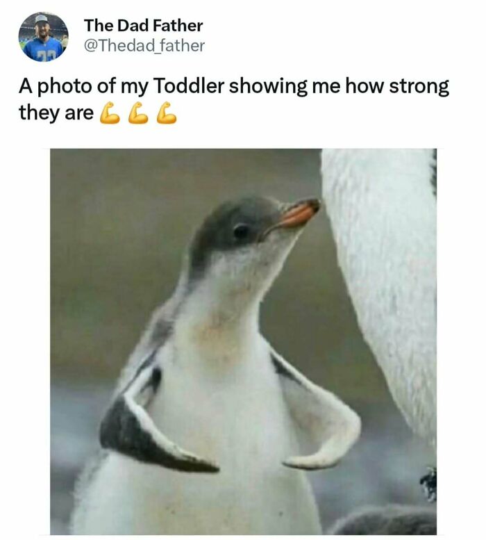 Penguin mimicking a toddler flexing muscles, capturing the daily joys and struggles of a dad.