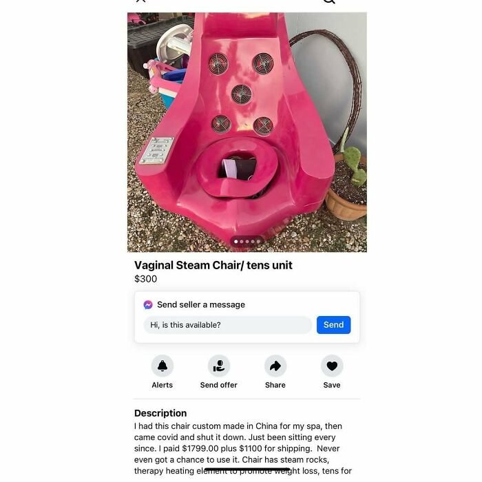 Pink vaginal steam chair with TENS unit listed on Facebook Marketplace for $300; description mentions custom order.