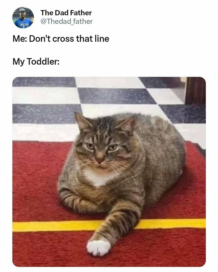 A meme of a cat resting its paw over a line, humorously symbolizing the daily struggles of a dad.