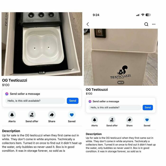 Bizarre Facebook Marketplace ad listing a "Testicuzzi" for sale at $100.