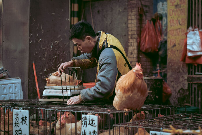 Photo Review: A Raw And Vibrant Journey Through A Farmers Market In Foshan, China – A Cultural Dive For The Bold!