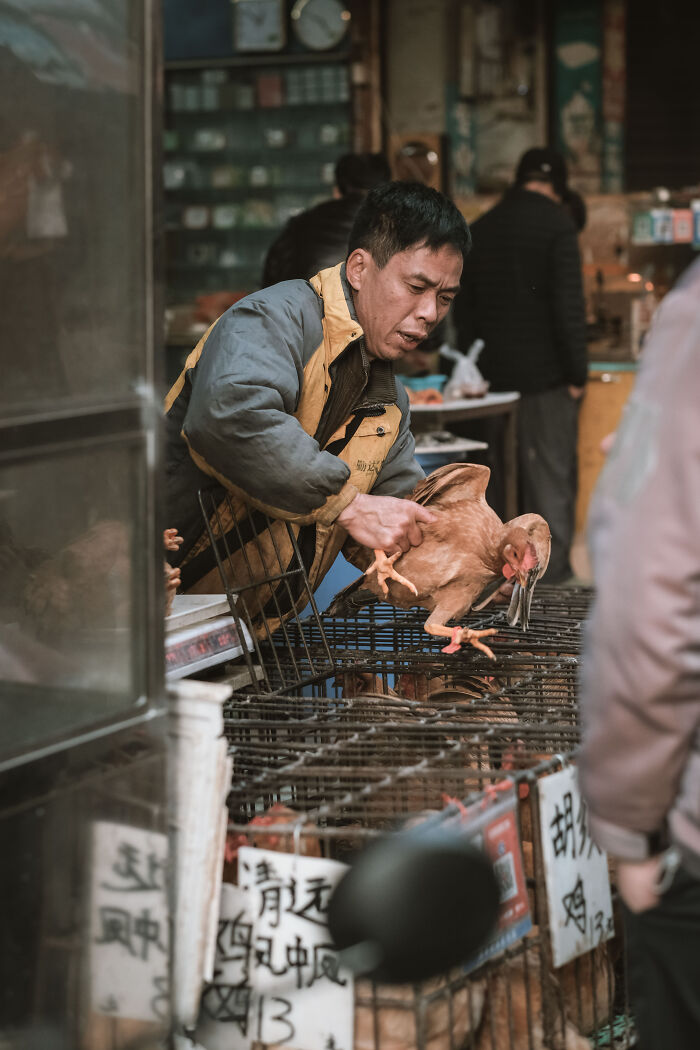 Photo Review: A Raw And Vibrant Journey Through A Farmers Market In Foshan, China – A Cultural Dive For The Bold!