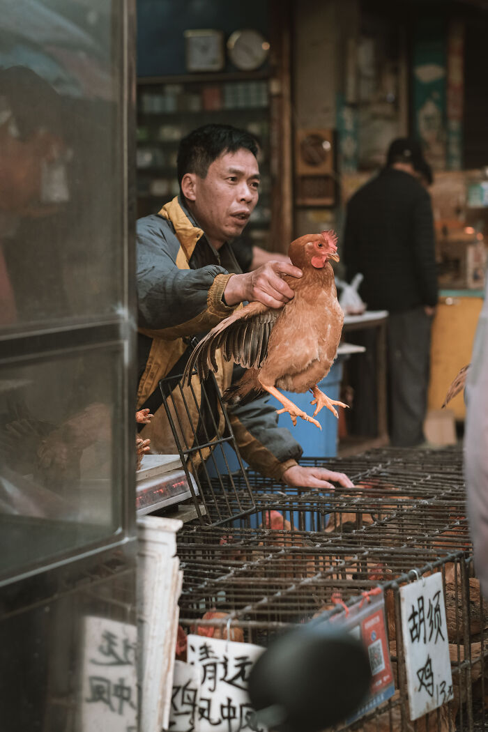 Photo Review: A Raw And Vibrant Journey Through A Farmers Market In Foshan, China – A Cultural Dive For The Bold!