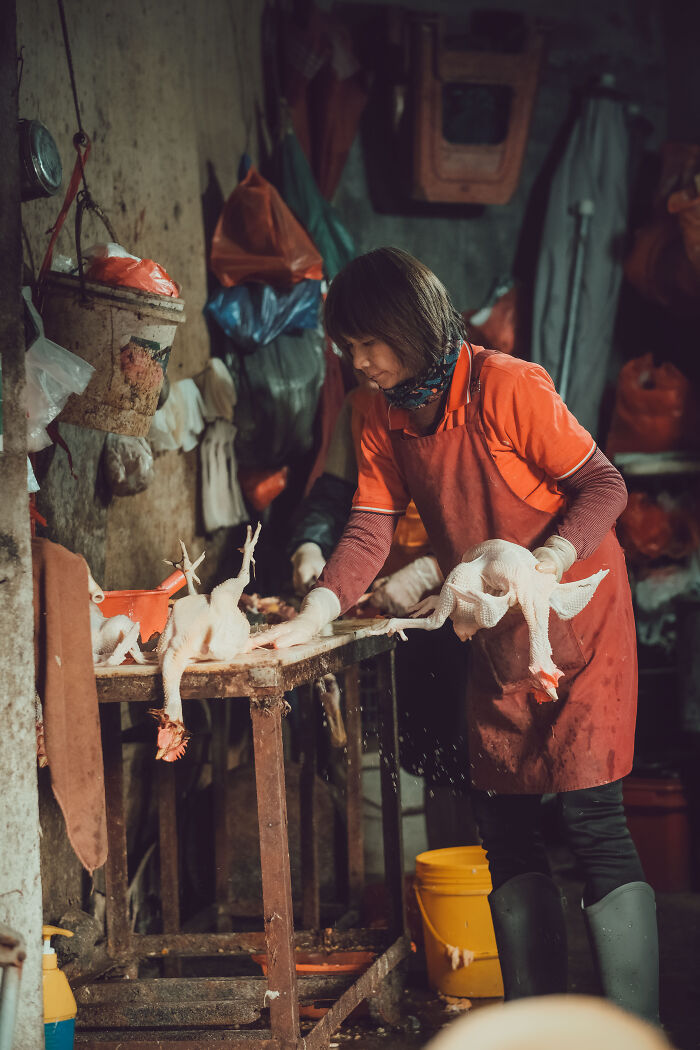 Photo Review: A Raw And Vibrant Journey Through A Farmers Market In Foshan, China – A Cultural Dive For The Bold!