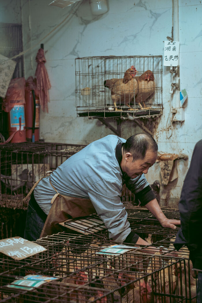 Photo Review: A Raw And Vibrant Journey Through A Farmers Market In Foshan, China – A Cultural Dive For The Bold!