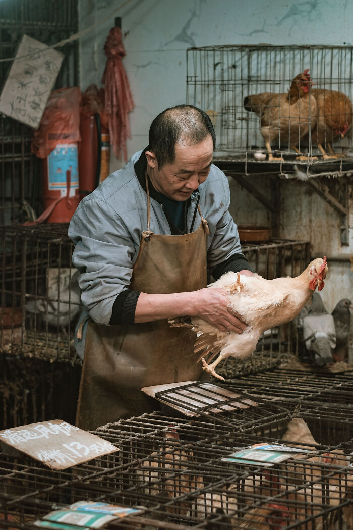 Photo Review: A Raw And Vibrant Journey Through A Farmers Market In Foshan, China – A Cultural Dive For The Bold!