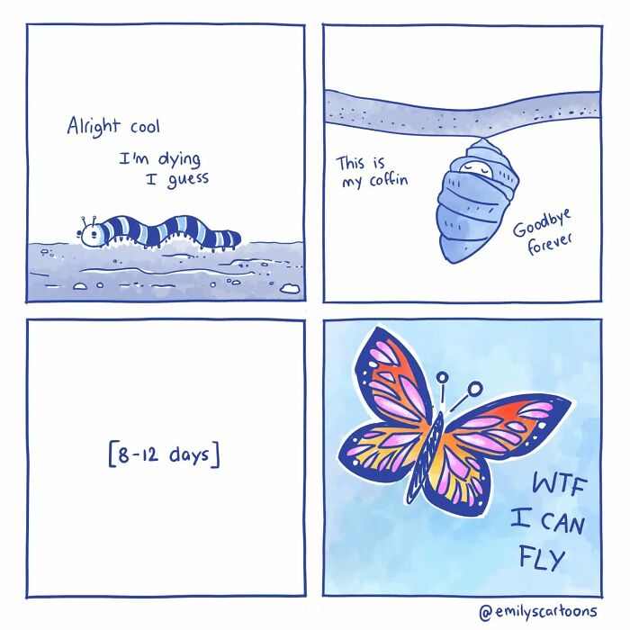 Comic by Emily McGovern shows a caterpillar's transformation into a butterfly, humorously reacting to its new ability to fly.