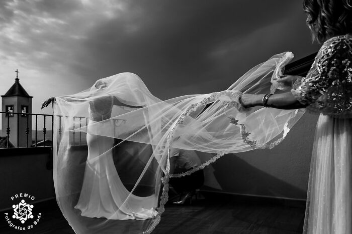 Veil Goals: Caught In The Wind, Just Right By Daria Manuedda