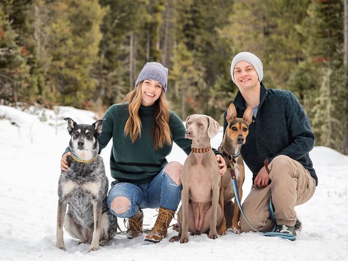 Couple in winter gear smiling with three dogs in a snowy forest setting.