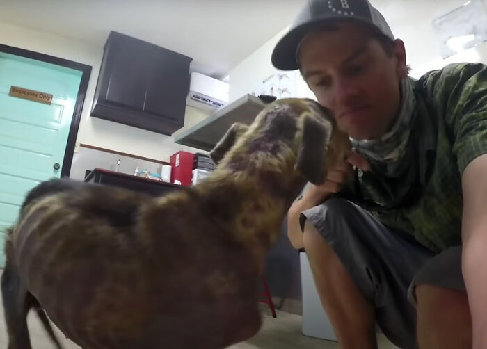 Man tending to a starving dog in a room on a remote island in Belize.