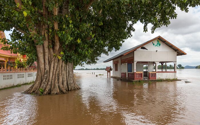 Flooded landscape with a large tree next to a small building, showcasing a stunning natural phenomenon.