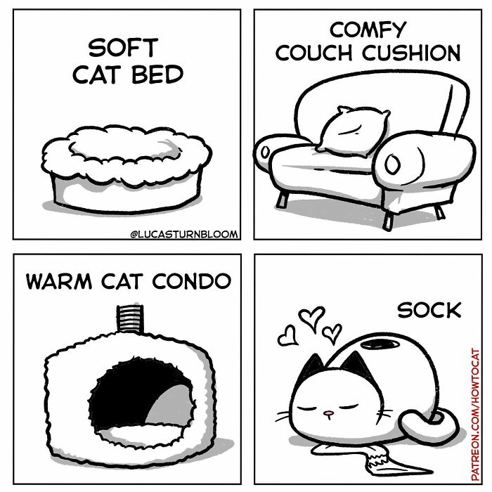 Comic of relatable cat behavior; cat chooses a sock over a bed, couch, and condo.