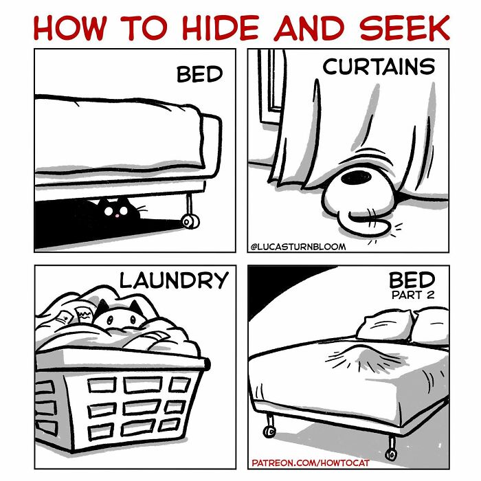 Comic of a cat hiding under bed, behind curtains, in laundry, and on bed.