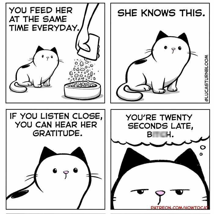 Cat comic strip illustrating relatable feline behavior and attitude during feeding time.