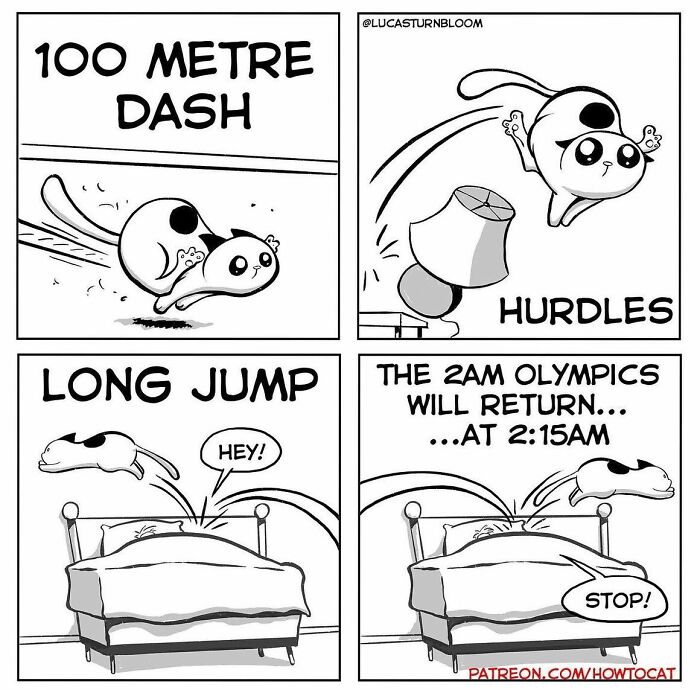 Comic strip featuring a cat doing athletic events like a dash, hurdles, and long jump, with humorous captions.