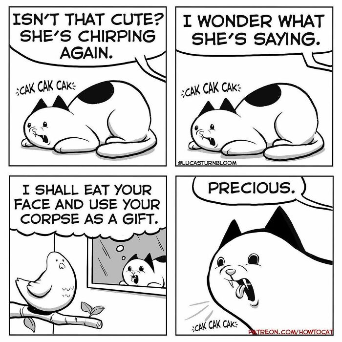 Relatable cat comic showing a cat chirping at a bird, humorously plotting mischievous thoughts.