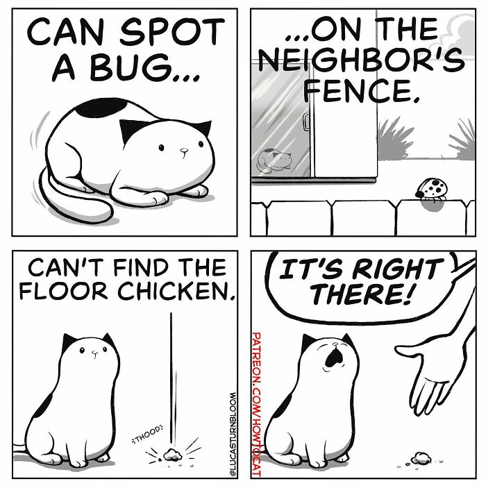 Comic of a cat spotting a bug but unable to find chicken on the floor, humorously highlighting typical cat behavior.