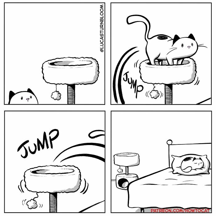 Cat comic strip showing a cat jumping from a cat tree to a bed.