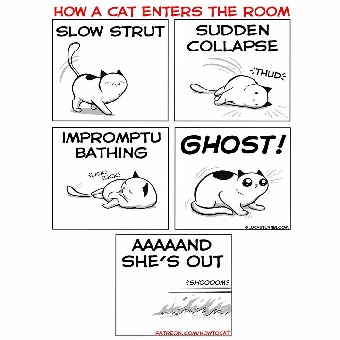 Comics showing relatable cat behaviors: slow strut, collapse, bathing, and sudden dash, by this artist.