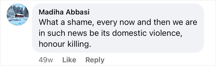 Comment discussing domestic violence and honour killing related to arranged marriage bride case.