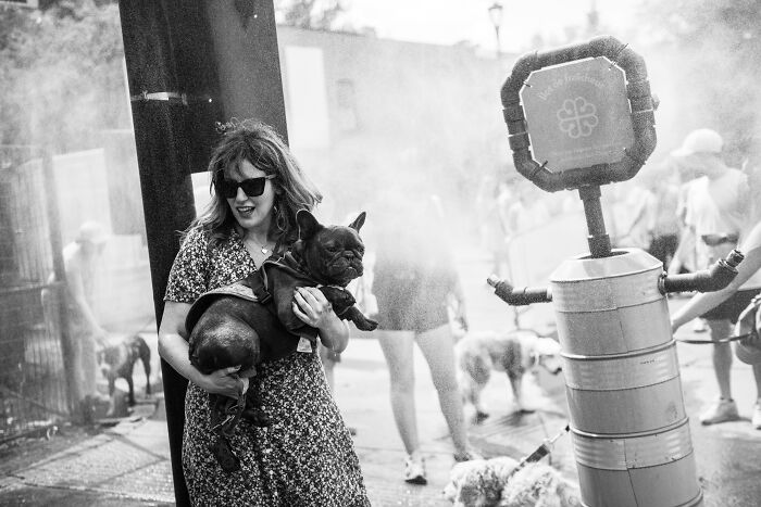 Woman in sunglasses holding a French Bulldog, at an outdoor event, captured by an international pet photographer.