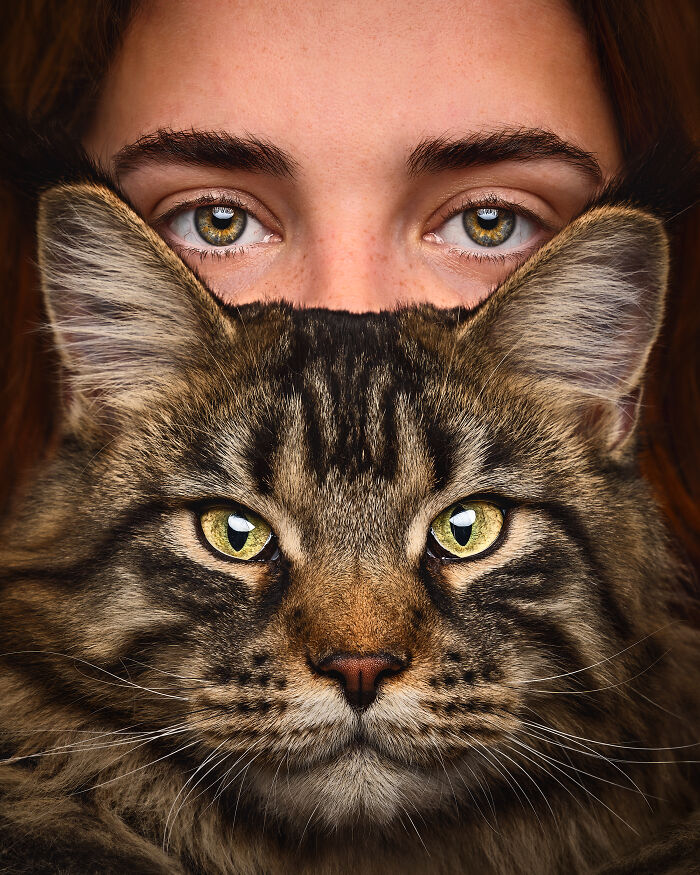 Close-up of a person's eyes and a tabby cat's face, capturing a striking resemblance. Pet Photographer Awards entry.