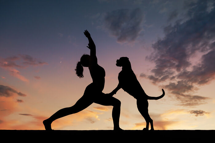 Silhouette of a woman and dog posing at sunset, representing best pet photography from international awards.