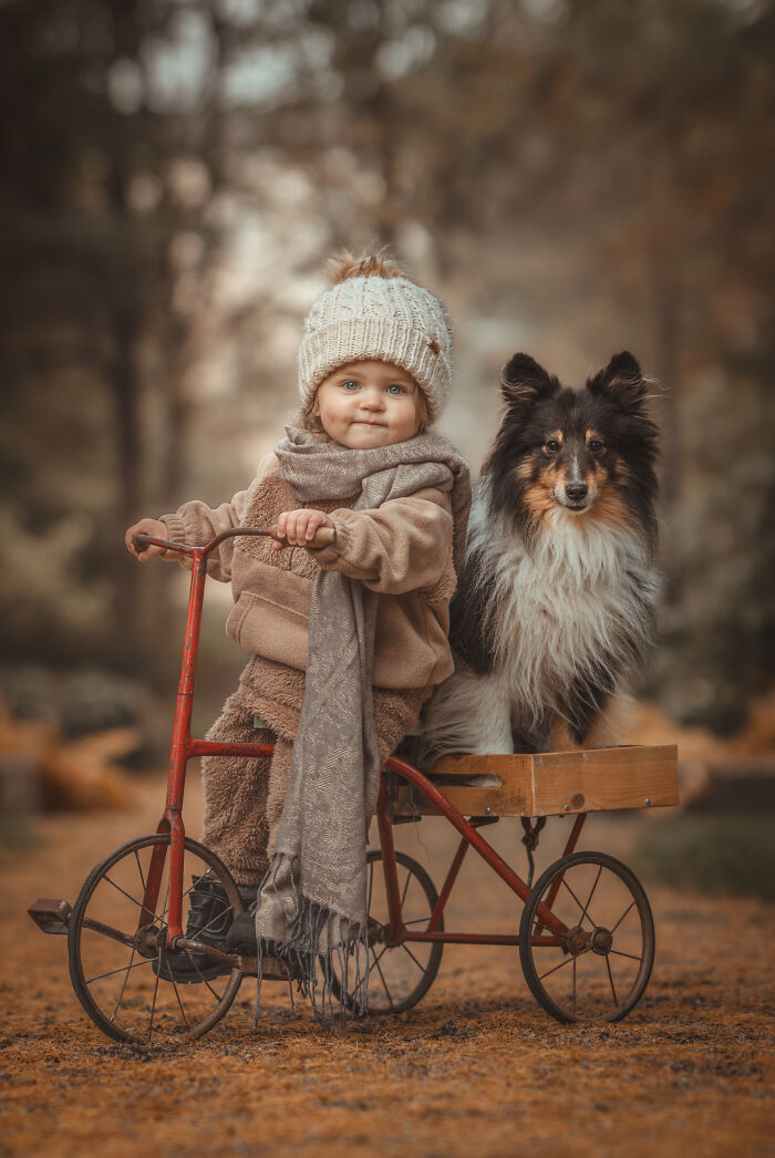 Child in cozy outfit with Shetland Sheepdog on a vintage tricycle, showcasing pet photography awards creativity.