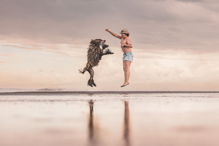 Person and dog jumping in sync on a beach, showcasing award-winning pet photography.