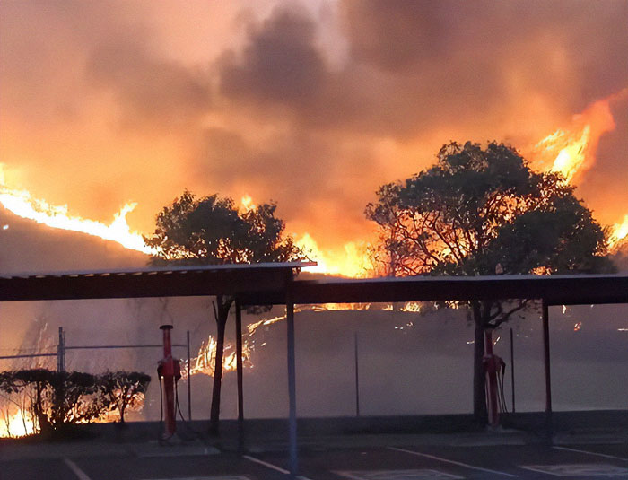 Wildfire flames encroach near trees, highlighting the need for private firefighters to protect homes.