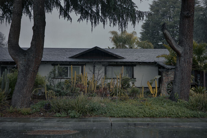 Suburban scene with quiet, overcast ambiance; trees framing a modest house, emphasizing suburban disconnection.