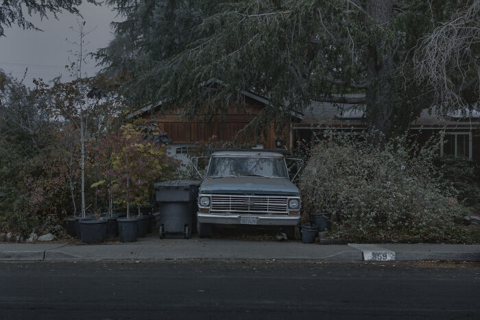 Suburban disconnection: an old truck surrounded by overgrown plants and trash bins in front of a worn house.