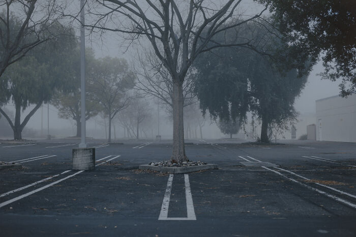 Empty suburban parking lot with fog and bare trees, illustrating disconnection.