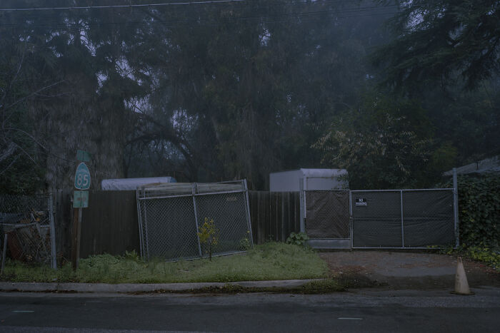 Overgrown suburban yard with fading fences and trees, evoking a sense of disconnection.