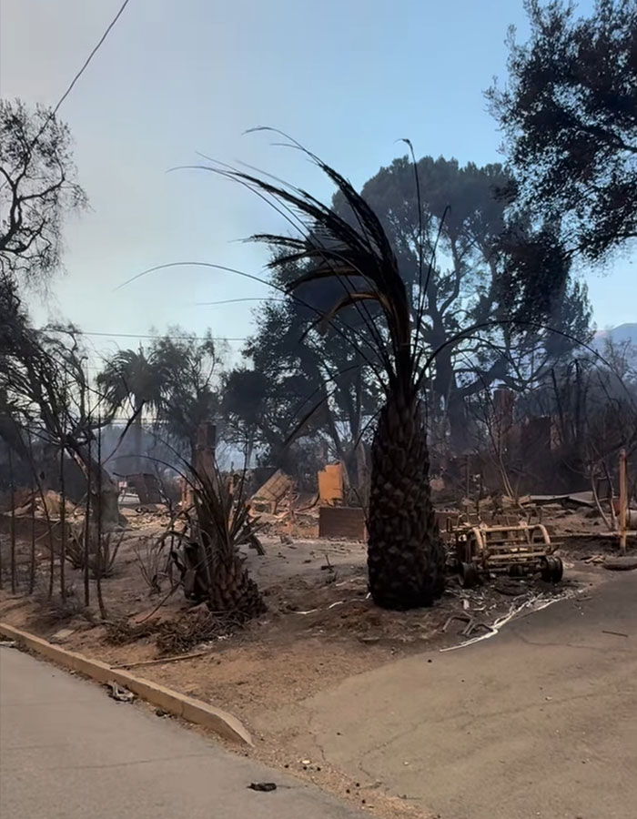 “You Have Enough Money”: Millionaire Actress Mandy Moore Draws Criticism For Wildfire GoFundMe