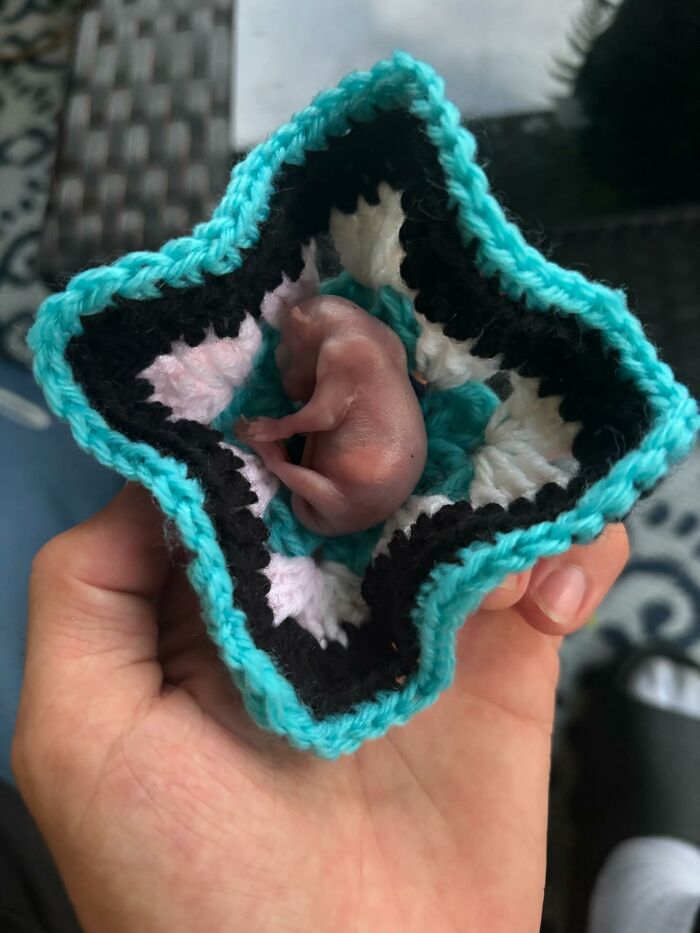 Man holding a tiny rescued squirrel wrapped in a colorful knitted blanket.