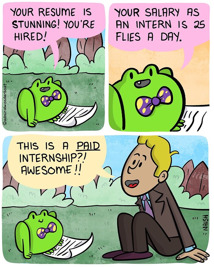 Funny comic about life and internships featuring a frog offering 25 flies as a salary to a surprised man.