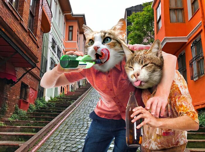 Turkish artist collage featuring cat-headed humans drinking in a colorful urban street.