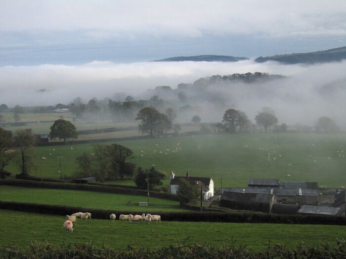 Green countryside shrouded in mist, showcasing strange natural phenomena with a peaceful, rural setting.