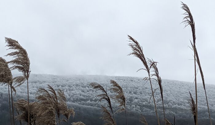 Chilly Dawn Upon The Hilltop