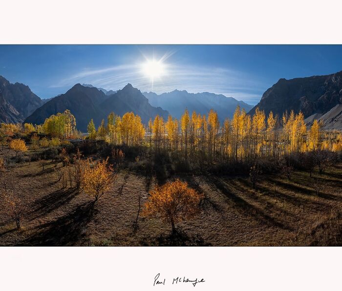 Golden autumn trees under a bright sun with mountains in the background, captured by Paul McKenzie.