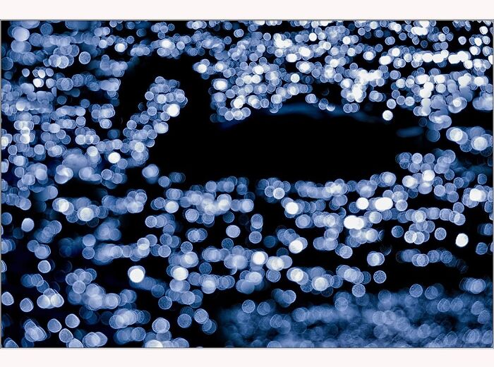 Mesmerizing bokeh effect captures the silhouette of a bird, photographed by Paul McKenzie in a shimmering soda lake setting.