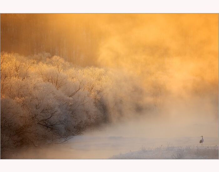 Sunrise over a misty lake with frosted trees, captured by Paul McKenzie.