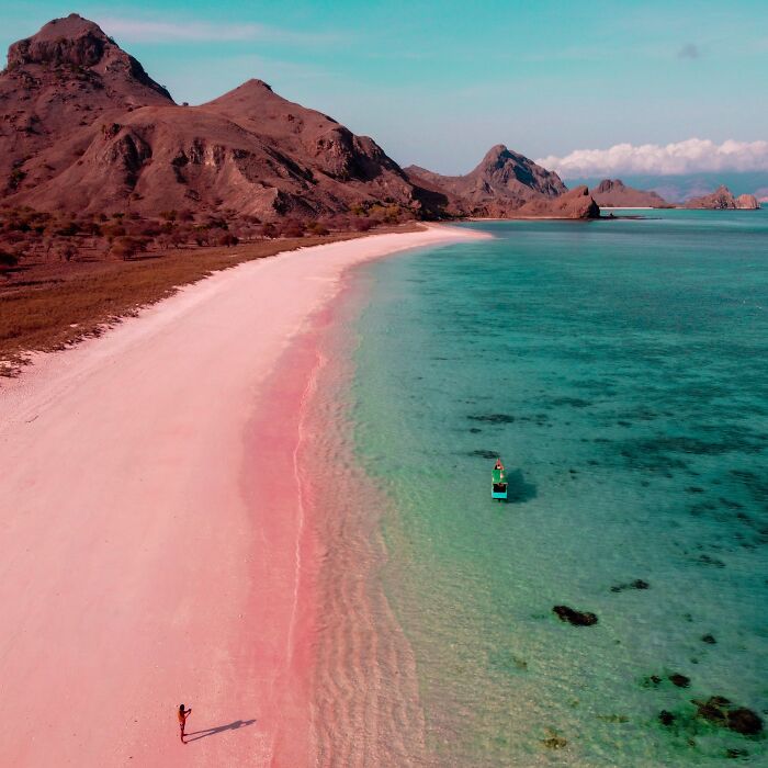 A stunning natural phenomenon: a pink sand beach meeting turquoise water under a clear sky.