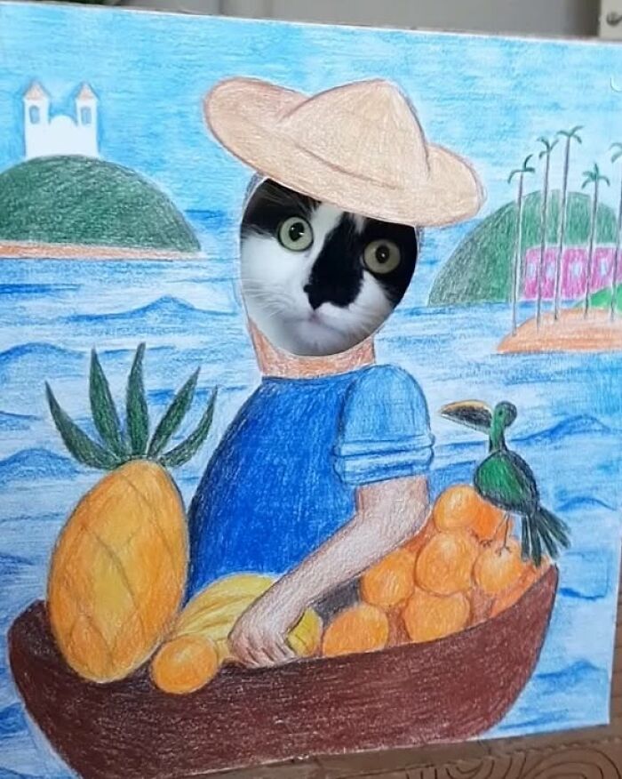 Rescue cat's face in a colorful drawing, making it look like living art with tropical fruit and bird.