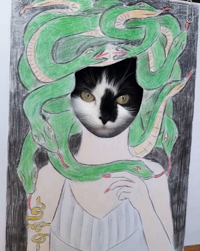 Rescue cat's face framed by drawn snakes, styled to resemble living art.