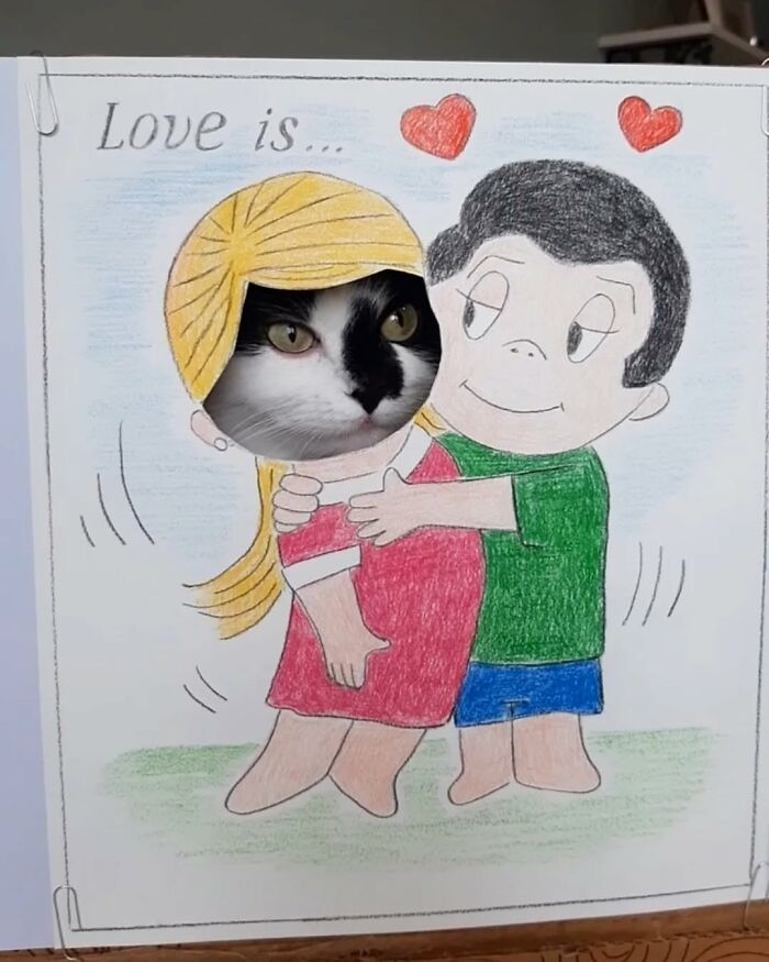 Rescue cat's face in a cartoon drawing, illustrating a creative art setup.